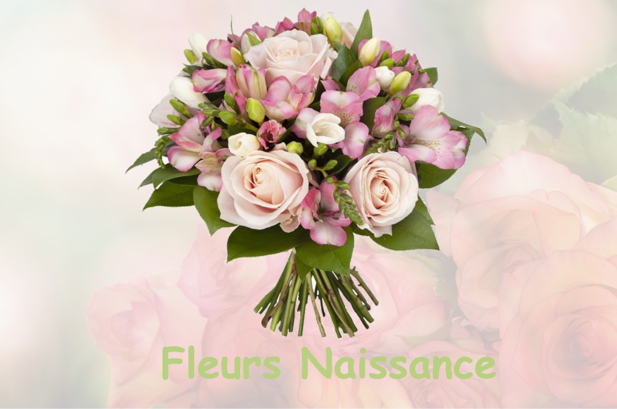 fleurs naissance MARCILLY-LA-GUEURCE